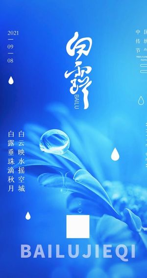 白露节气海报图片
