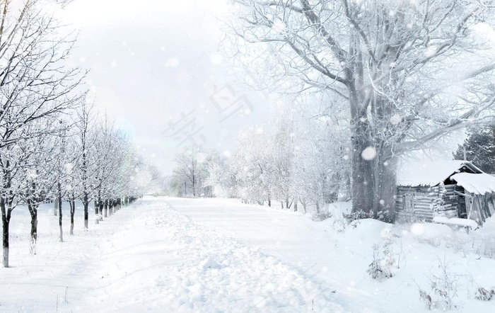冬天雪景图片