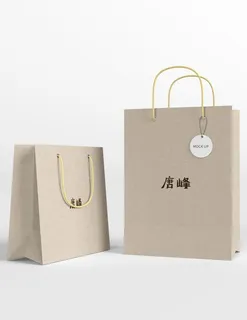 国潮手提袋图片