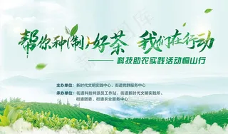 制茶我们在行动图片