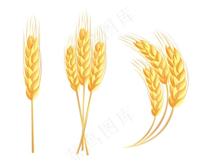 小麦ICON图标标志图片