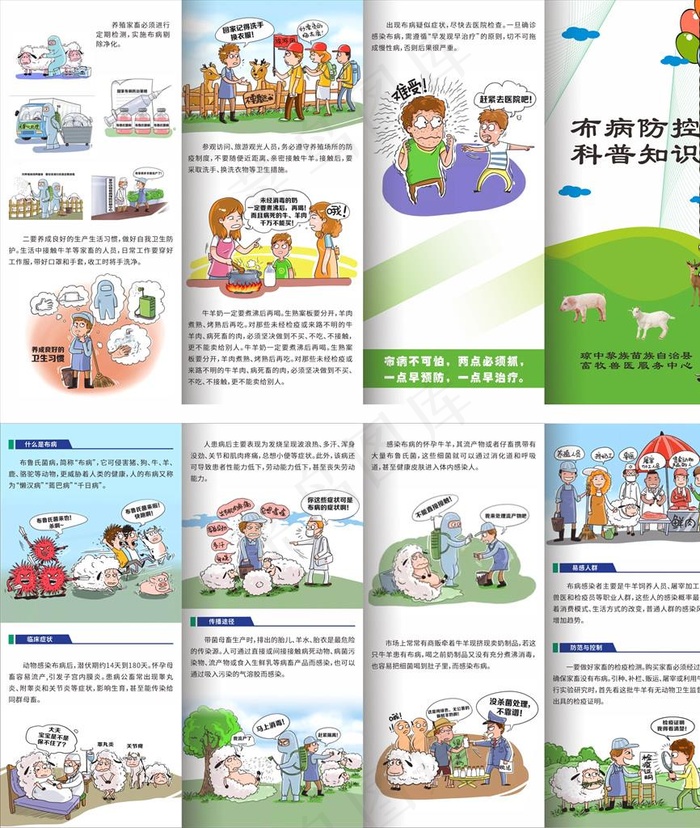 布病防控科普知识图片cdr矢量模版下载