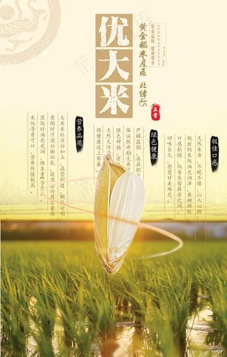 创意有机大米海报图片