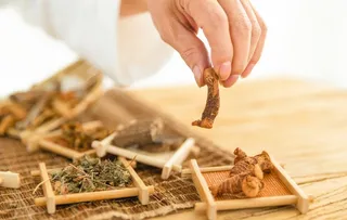 中医中药  图片