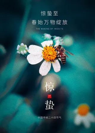 唯美花朵惊蛰节气海报图片