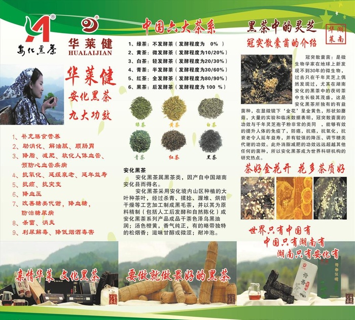 安化黑茶展板图片