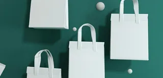 包装袋子样机图片