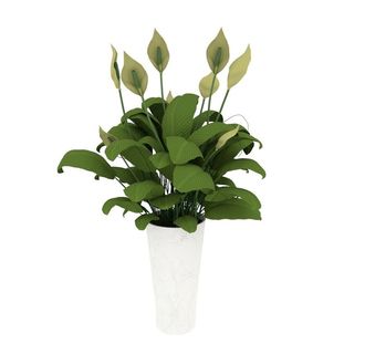 盆栽模型绿植模型白掌模型图片