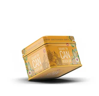 铁盒子包装图片