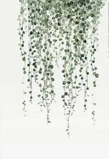 北欧小清新植物叶子画图片