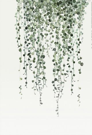 北欧小清新植物叶子画图片