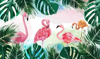 热带植物火烈鸟背景图片