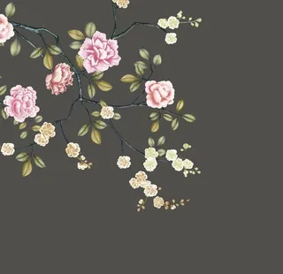 新中式牡丹花图片