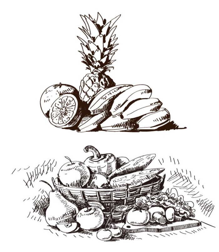 水果素描图片