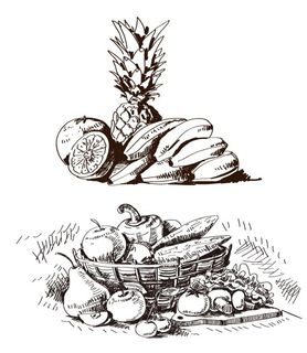 水果素描图片