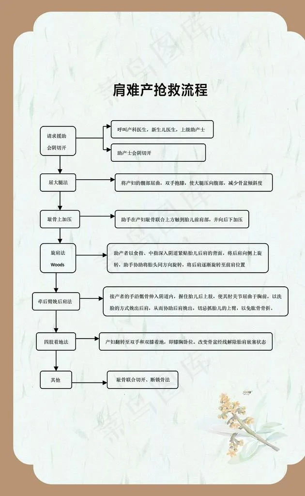 肩难产抢救流程 图片(3247x5019)psd模版下载