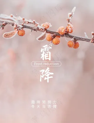 霜降节气,高清海报图片