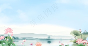 荷花图片
