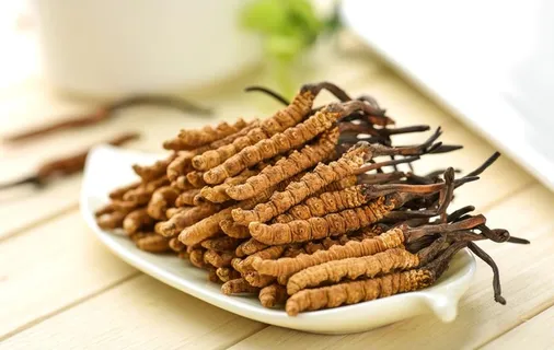 冬虫夏草图片 冬虫夏草图片