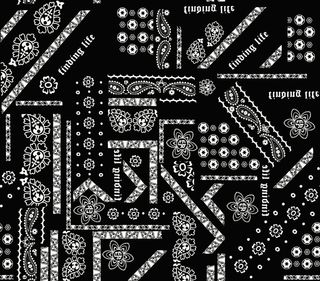 腰果花英文图片