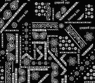 腰果花英文图片