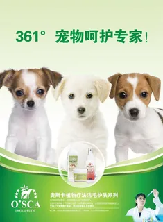 宠物海报图片