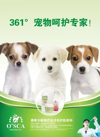 宠物海报图片