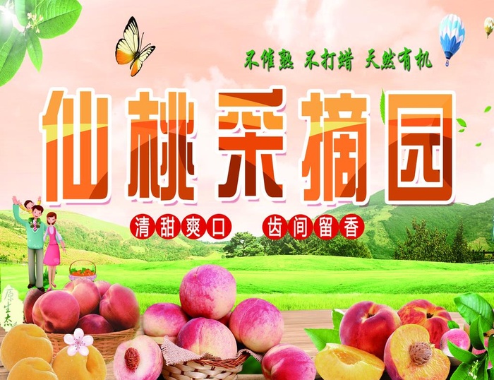 桃子采摘园图片