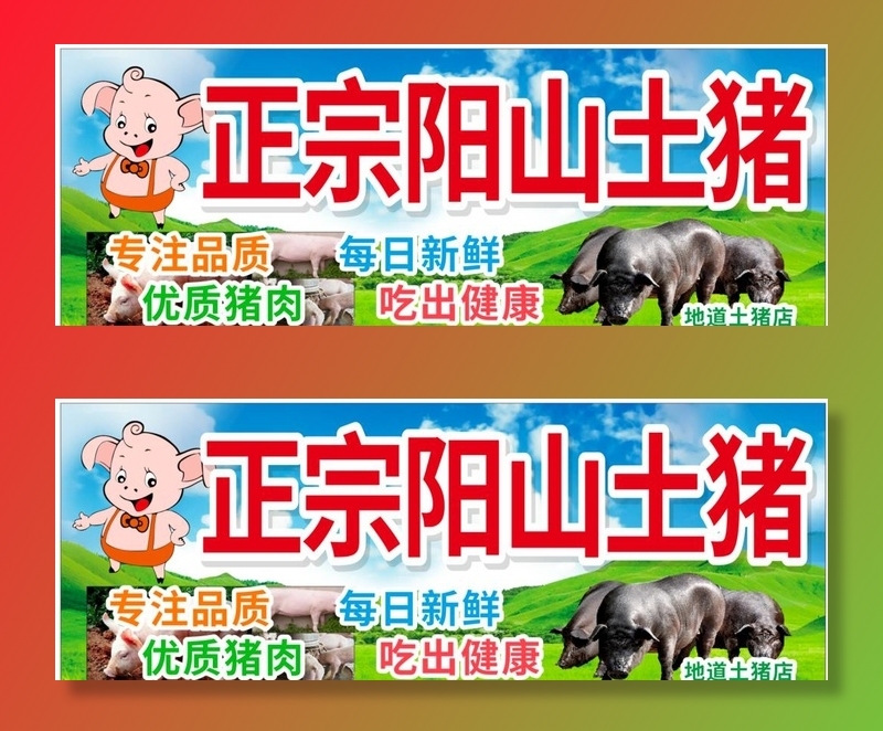 正宗阳山土猪招牌图片cdr矢量模版下载