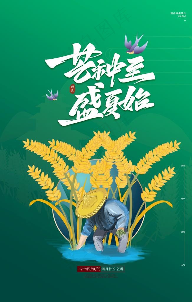 芒种海报图片psd模版下载