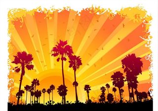 傍晚的非洲丛林图片