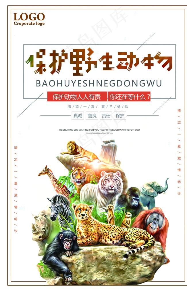 保护动物图片(7087x10631)psd模版下载