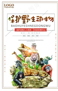 保护动物图片