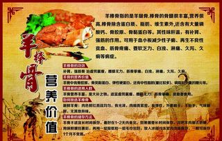 羊棒骨营养价值海报图片
