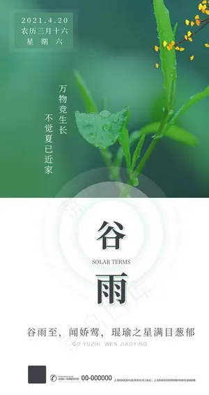 谷雨图片