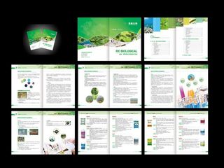 海参养殖手册图片