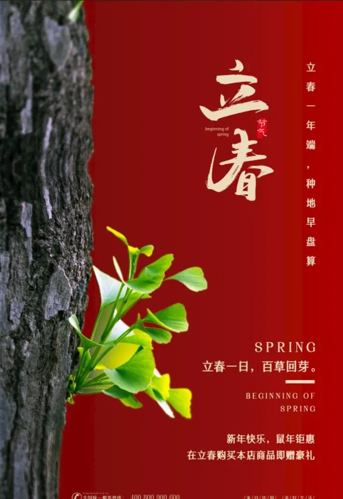 立春图片(60x90)psd模版下载