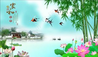 家和富贵竹子图片