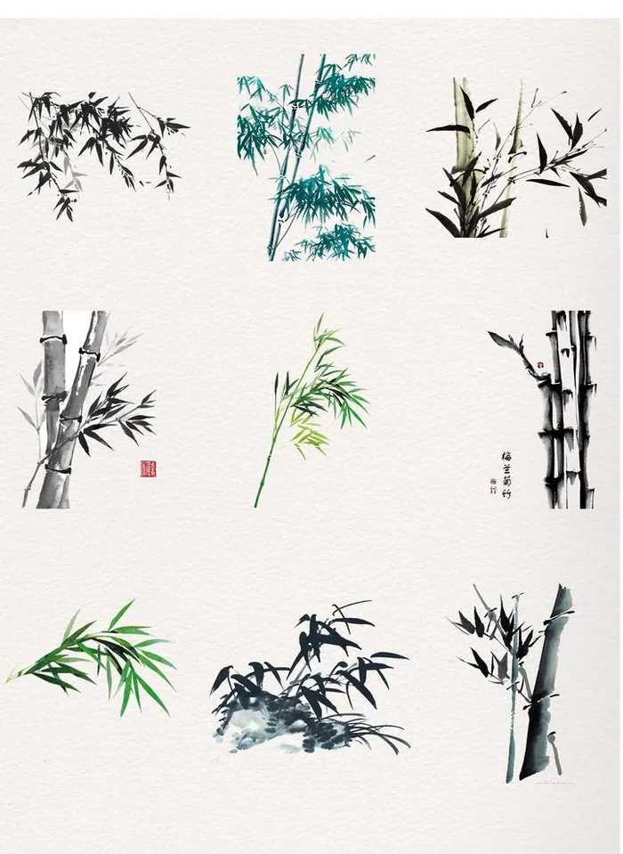 竹子图片