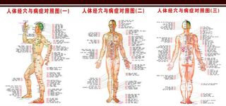 人体穴位图片