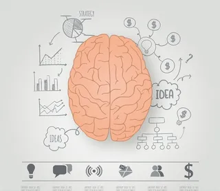 大脑半球图形图片