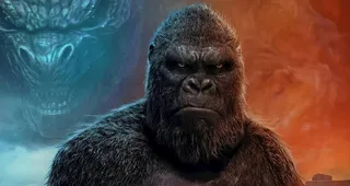 哥斯拉大战金刚图片