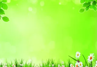 绿色背景图片