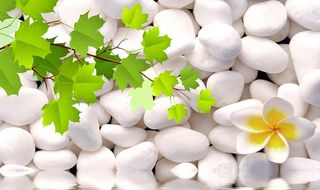 石头花绿叶倒影电视背景墙图片