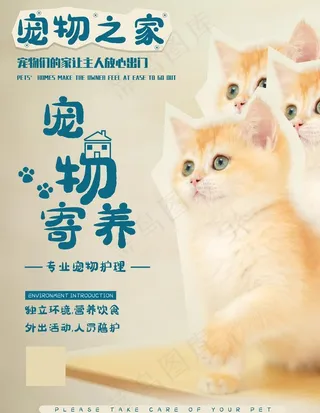 宠物海报图片