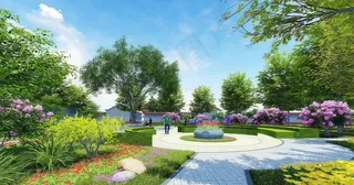 村庄小游园图片