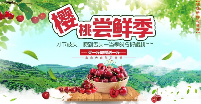 樱桃图片(2362x1299)psd模版下载