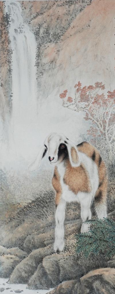 绵羊图片