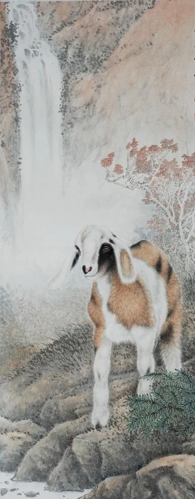 绵羊图片