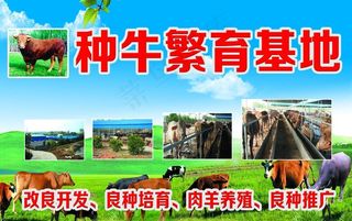 牛场基地图片
